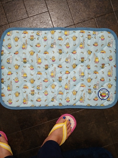 ザクロ_c0162773_21124033.jpg