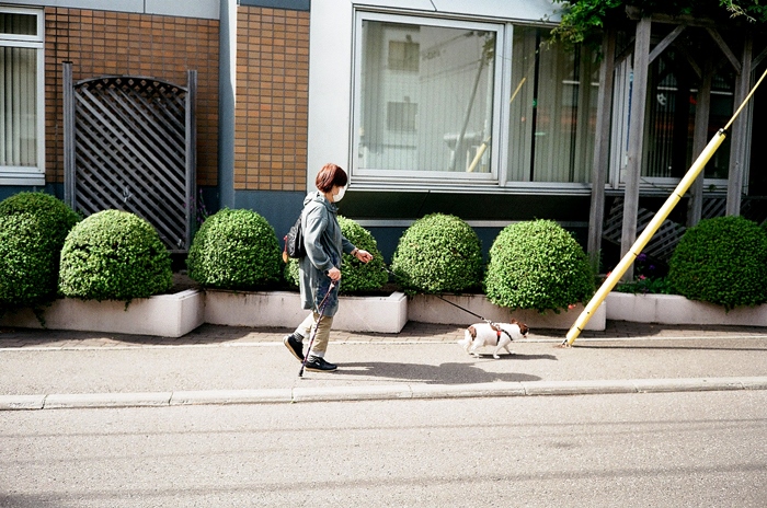 長袖が欲しかった犬の散歩と一転して夏の到来_c0182775_1657750.jpg