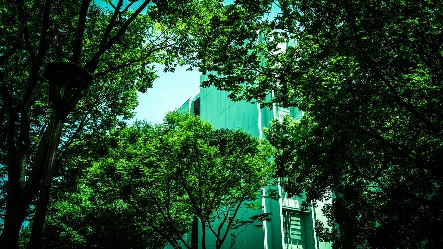 様々な思いが巡る緑色の街角_d0353489_19110758.jpg