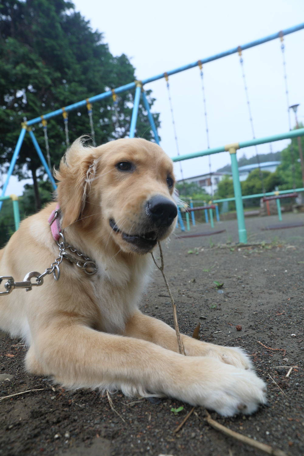 雨宿り♪_b0275998_17165202.jpg