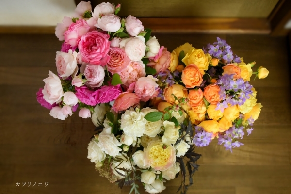 今年も薔薇を_d0380314_16514838.jpg