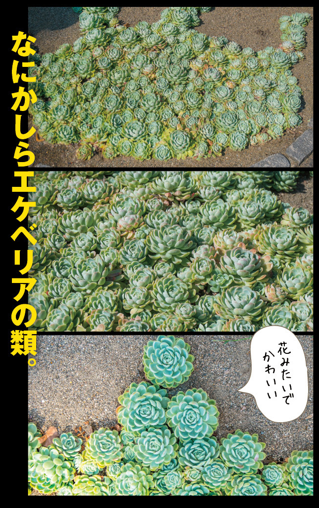 アート旅行に行こう!その76_a0358016_15045546.jpg