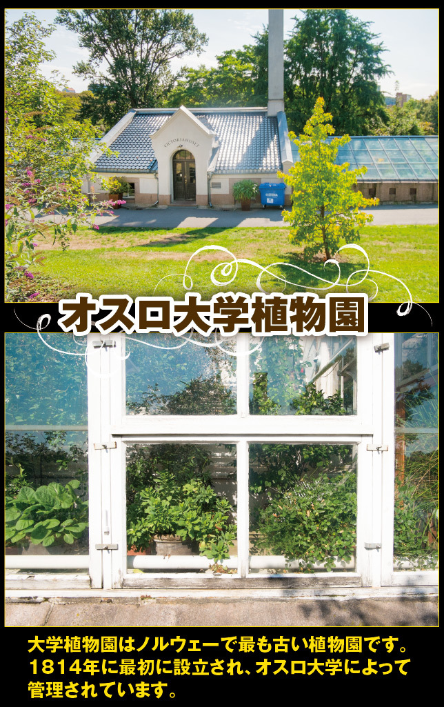 アート旅行に行こう!その76_a0358016_15052915.jpg