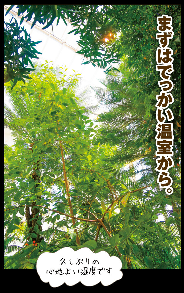 アート旅行に行こう!その76_a0358016_15053652.jpg