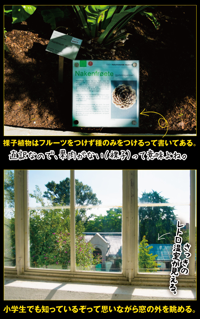 アート旅行に行こう!その76_a0358016_15053942.jpg