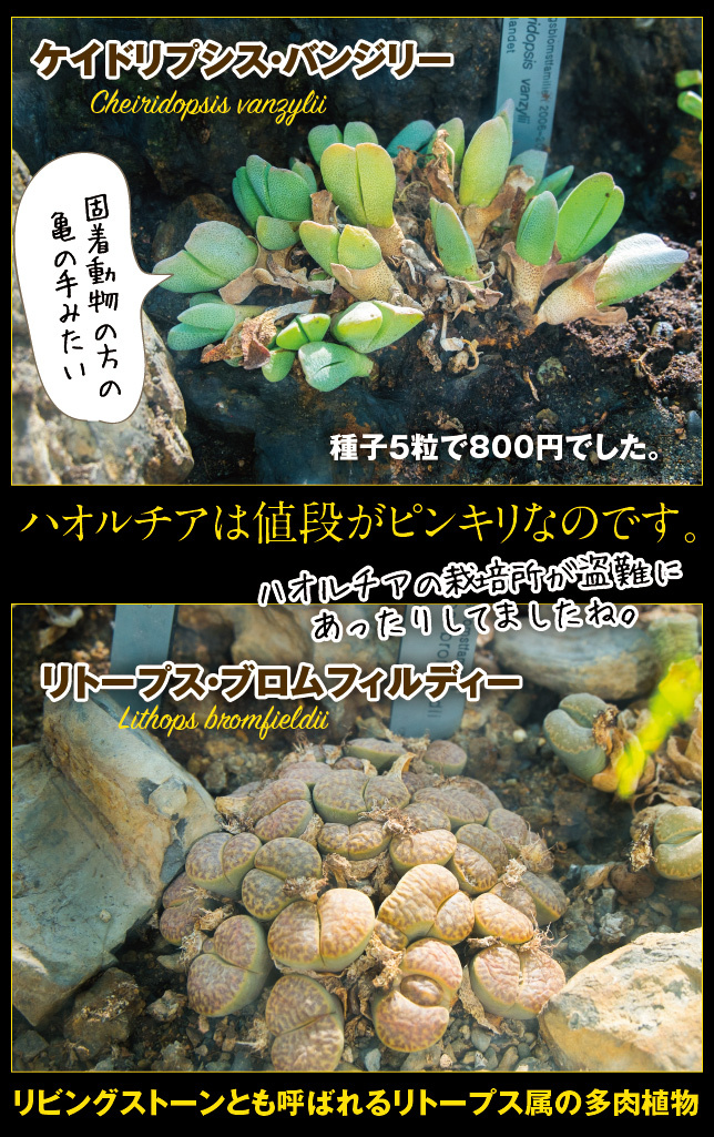 アート旅行に行こう!その76_a0358016_15054814.jpg