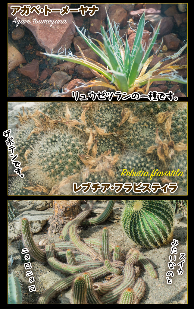 アート旅行に行こう!その76_a0358016_15055121.jpg