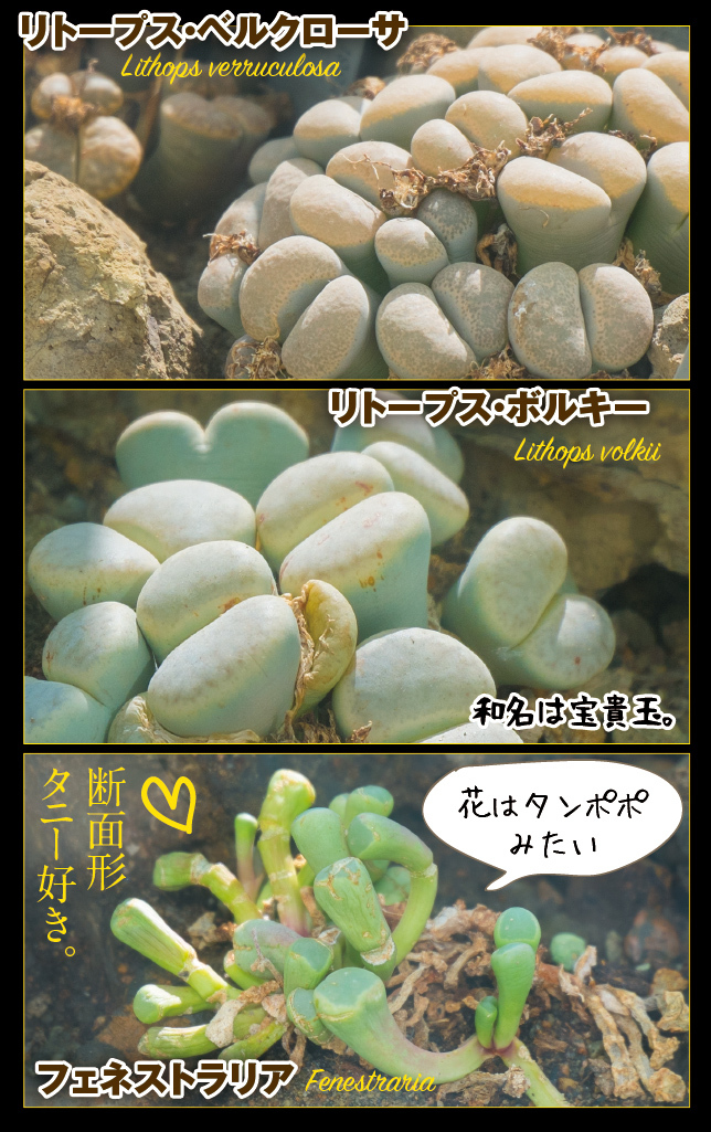 アート旅行に行こう!その76_a0358016_15060317.jpg