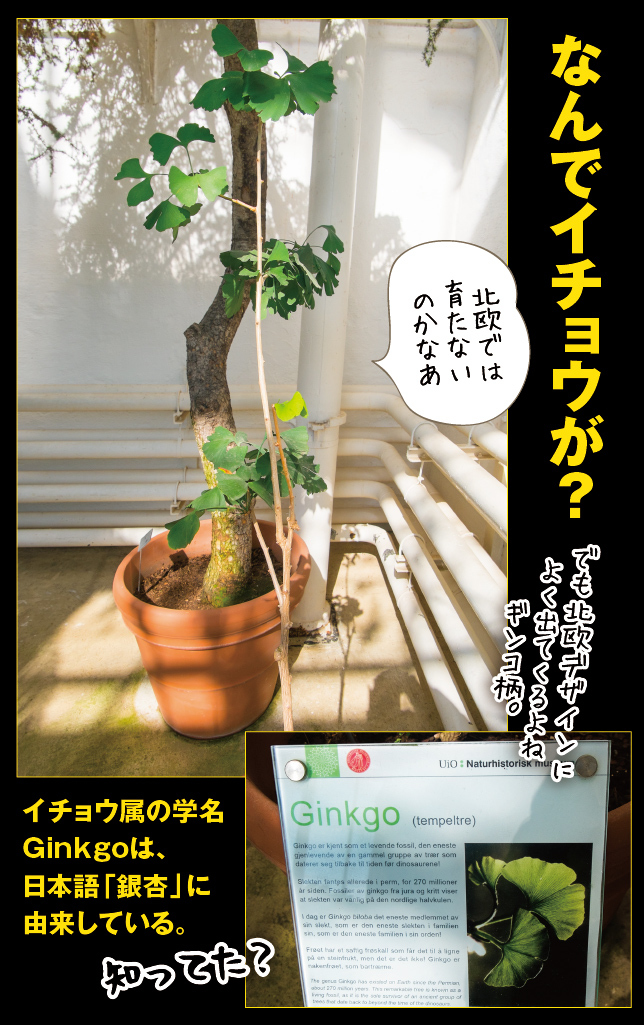 アート旅行に行こう!その76_a0358016_15061113.jpg