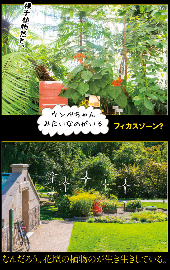 アート旅行に行こう!その76_a0358016_15061427.jpg