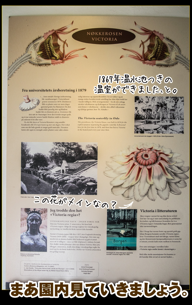 アート旅行に行こう!その76_a0358016_15062995.jpg