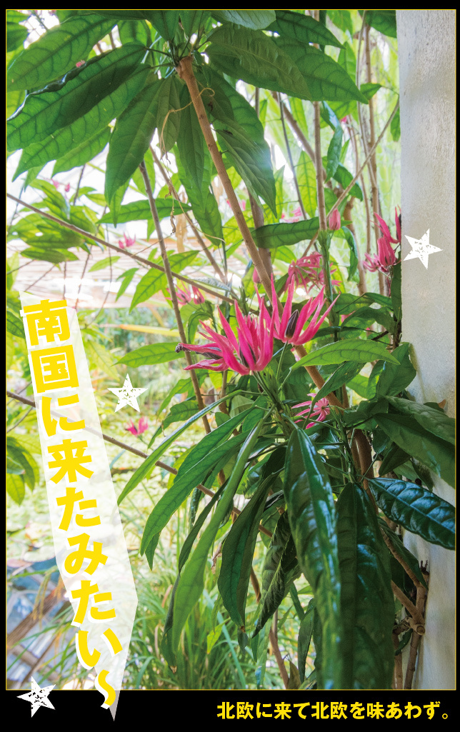 アート旅行に行こう!その76_a0358016_15063258.jpg