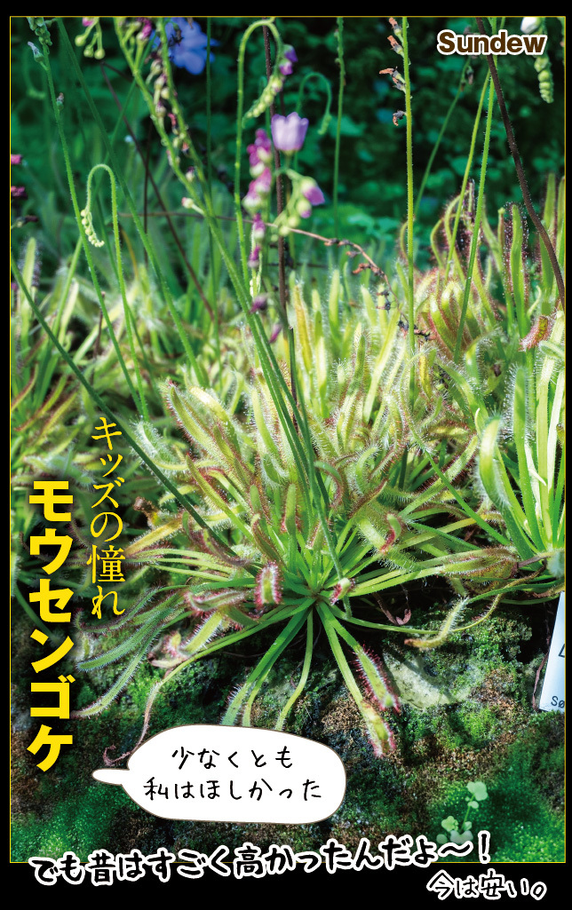 アート旅行に行こう!その76_a0358016_15064773.jpg