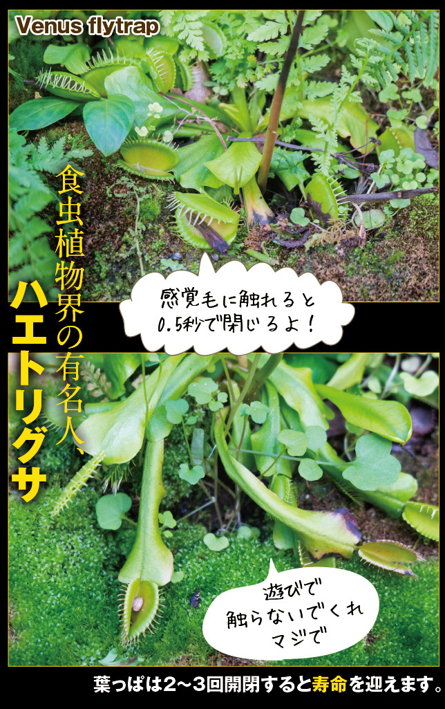 アート旅行に行こう!その76_a0358016_15065087.jpg