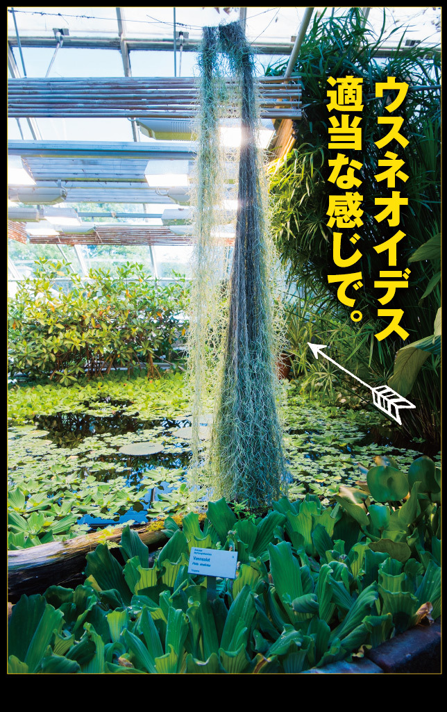 アート旅行に行こう!その76_a0358016_15070008.jpg
