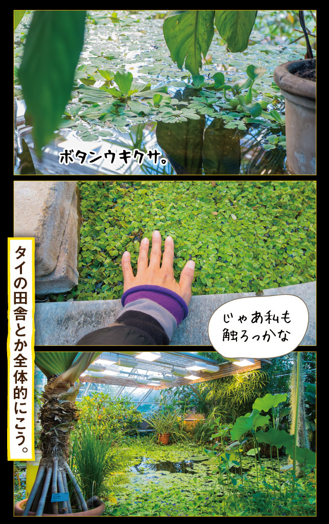 アート旅行に行こう!その76_a0358016_15070599.jpg
