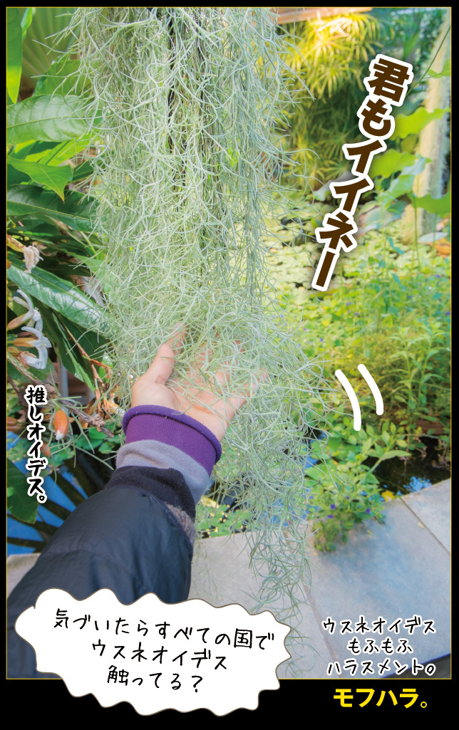 アート旅行に行こう!その76_a0358016_15070897.jpg