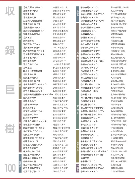 ■一千年のいのちの旅──榊晃弘写真集『九州・沖縄の巨樹』完成間近_d0190217_10252013.jpg