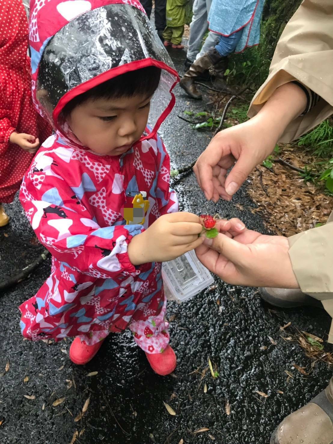 6 30 雨のおさんぽ 雨具はどうしよう 親子組 さやまめ 森のようちえん まめとっこ