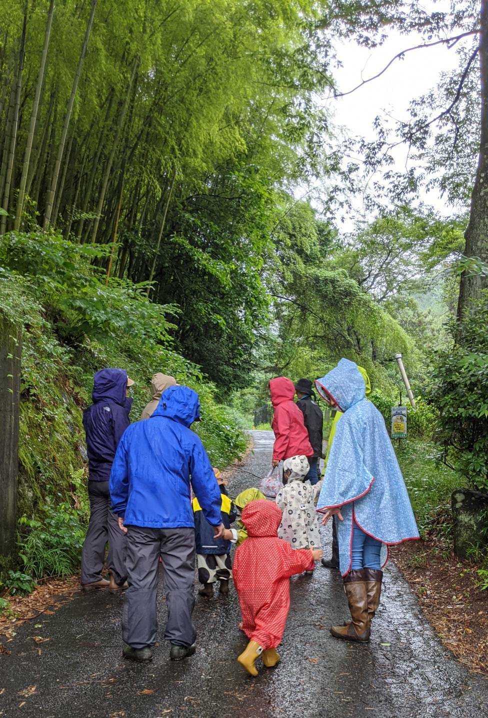 6 30 雨のおさんぽ 雨具はどうしよう 親子組 さやまめ 森のようちえん まめとっこ