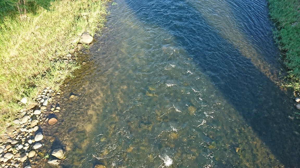 7月2日河川情報。午前6..._c0266737_06342553.jpg