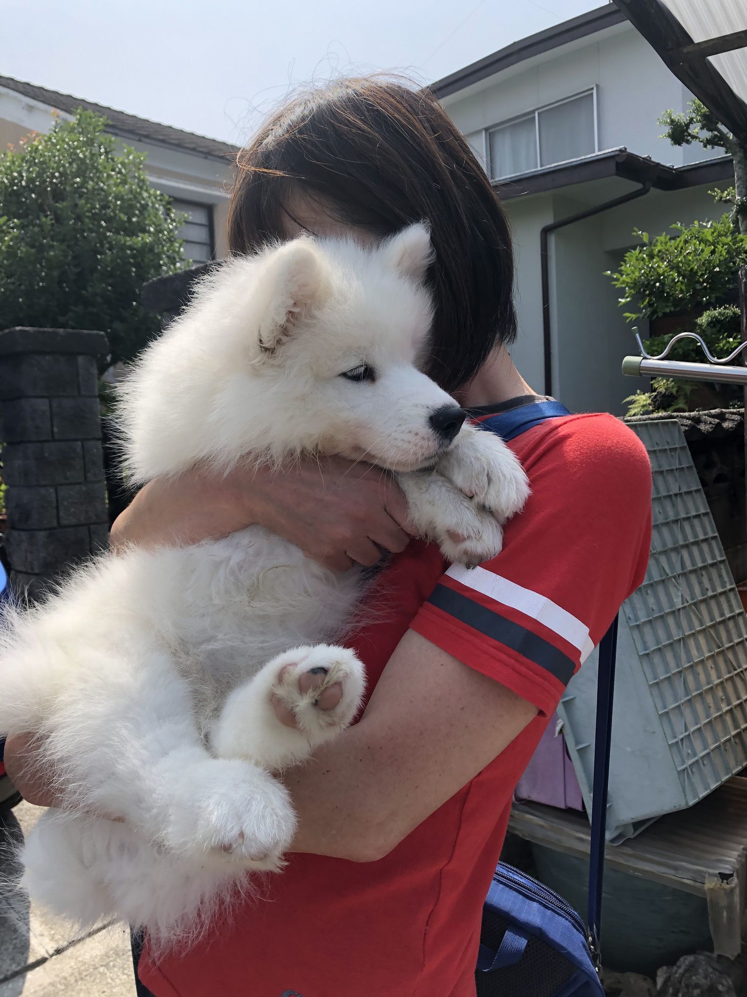 んまいもんシリーズ 2020年 愛媛旅行編_f0128542_13260194.jpg