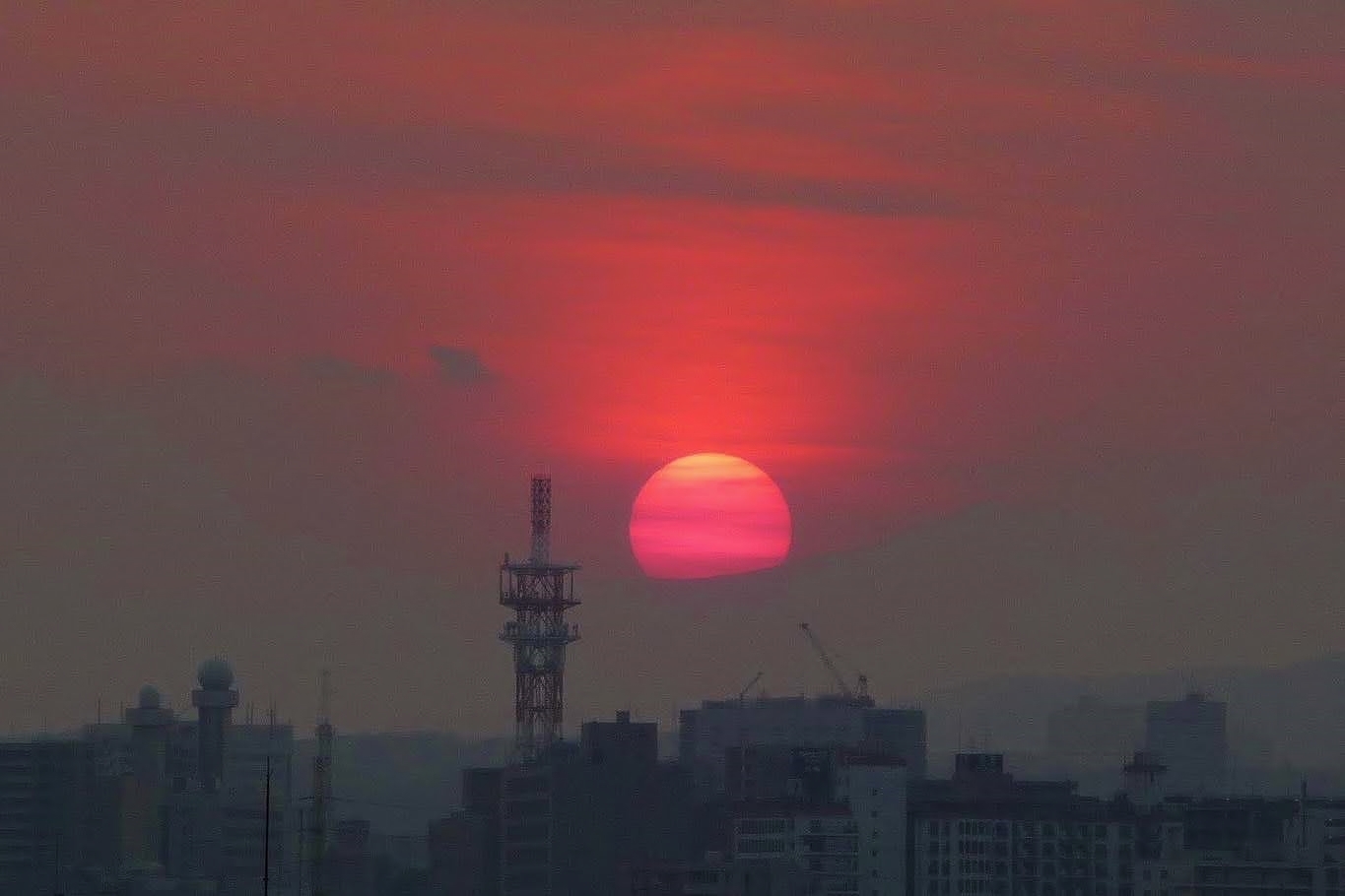 梅雨だから夕焼けワンワン⑨_b0314043_07500225.jpg