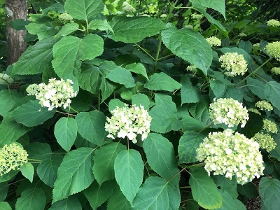 三か月ぶり!_f0019247_2155963.jpg