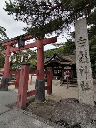 白鬚神社_f0106664_19235456.jpg