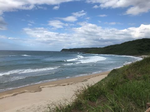 朝のオープン時間を変えた理由は_f0009169_08544080.jpg