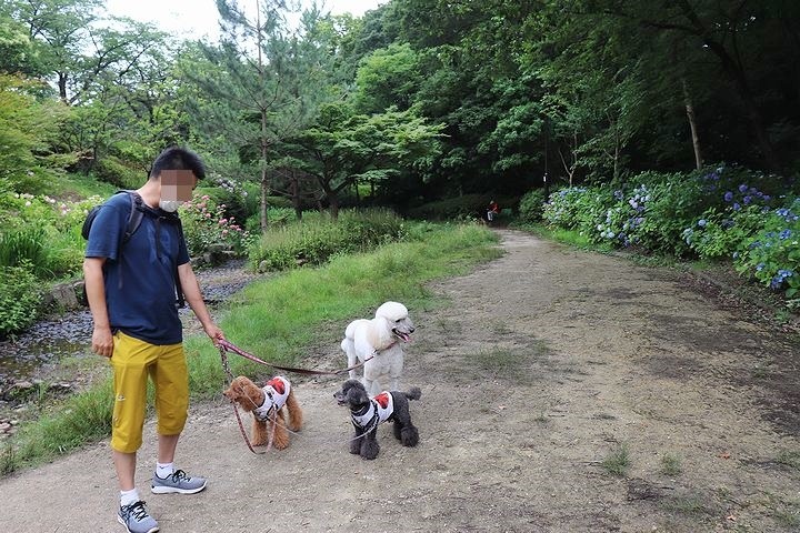 頑張ったあるラヴィ♪_b0111376_15305971.jpg