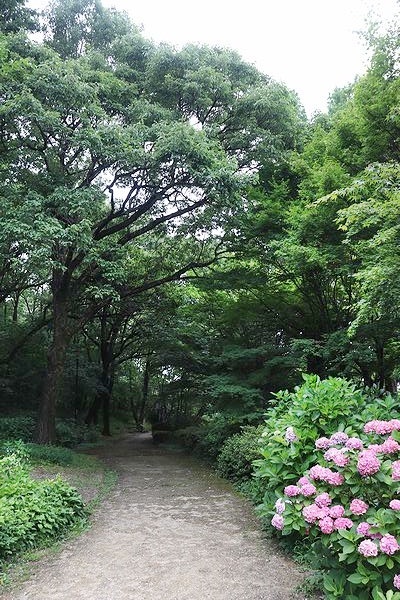 頑張ったあるラヴィ♪_b0111376_15395144.jpg