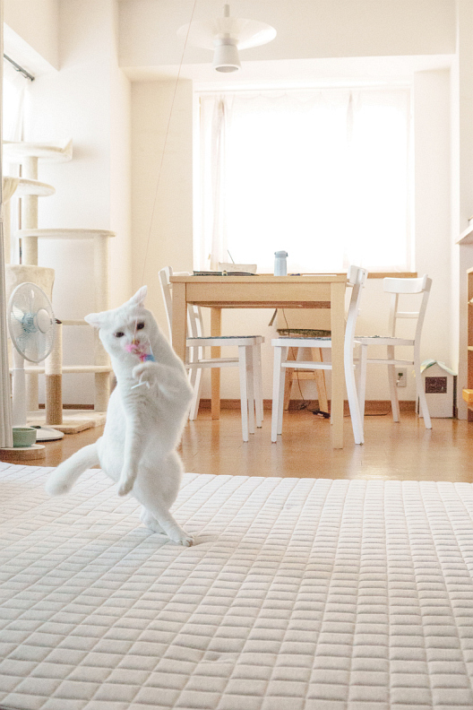 たるんたるんのルーズスキン_f0189086_17095334.jpg