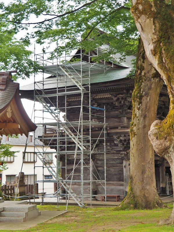 山門の板絵の補修が始まっています_c0336902_18561801.jpg