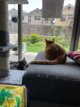ベル_f0043905_11333190.jpg