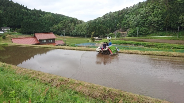 令和2年度田んぼアート稲作体験_b0281312_13593632.jpg