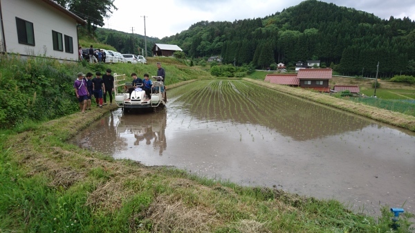 令和2年度田んぼアート稲作体験_b0281312_14004046.jpg