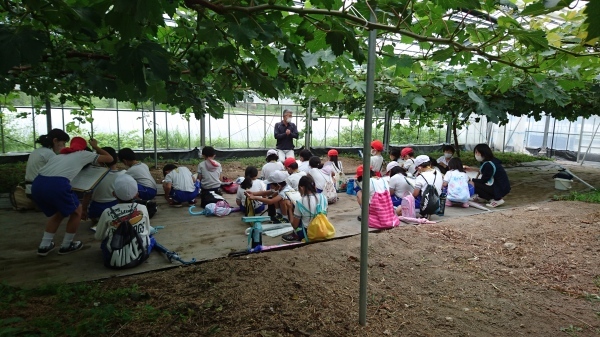 令和2年度田んぼアート稲作体験_b0281312_14463738.jpg