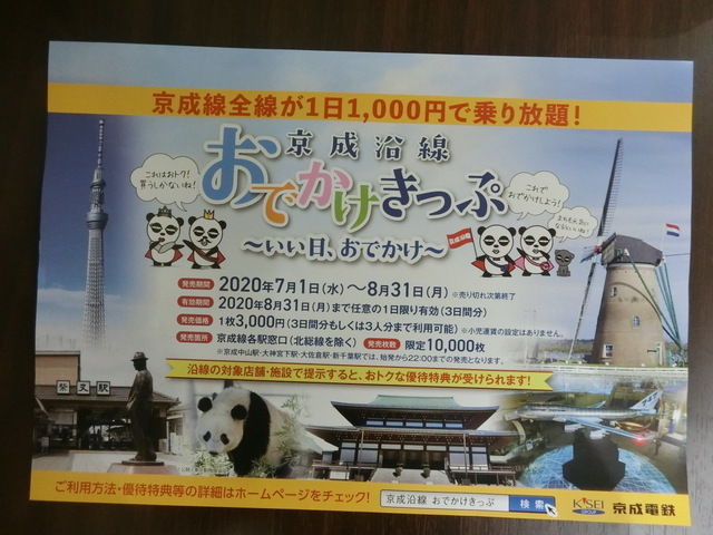 7月3日 金 二日続けて感染者が100人越えました 柴又亀家おかみの独り言 7月3日 金 二日続けて感染者が100人越えました 柴又亀家おかみの独り言