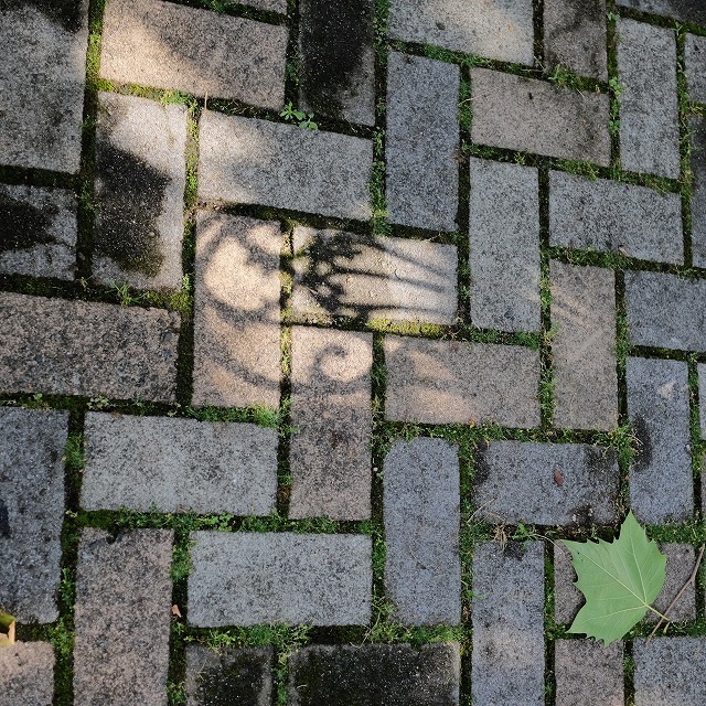 シャッター切る時何考えてるの?_f0221724_15024435.jpg