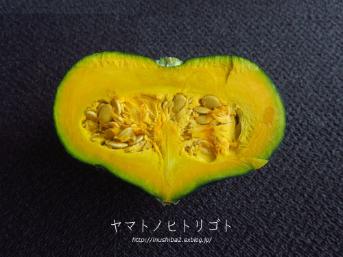 \"くりあじかぼちゃ\"_e0394031_05143696.jpg
