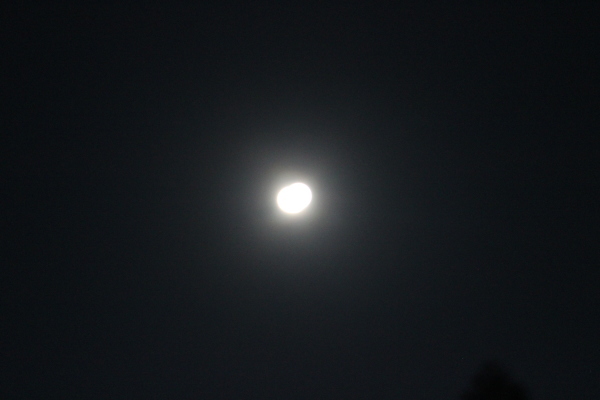 ハートの太陽。。♡_a0174458_00015350.jpg
