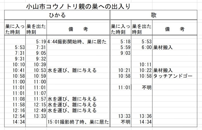 コウノトリの子育て　巣の補強_e0385660_22553757.jpg