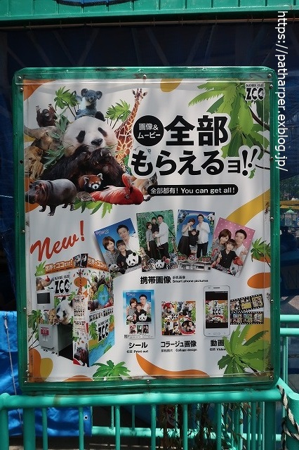 ２０２０年６月　王子動物園３　その６_a0052986_7261511.jpg