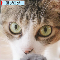 猫猫プレゼント_a0389088_11454416.jpg