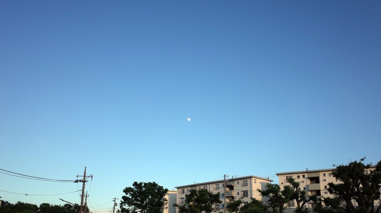 月ね_c0168096_15192747.jpg