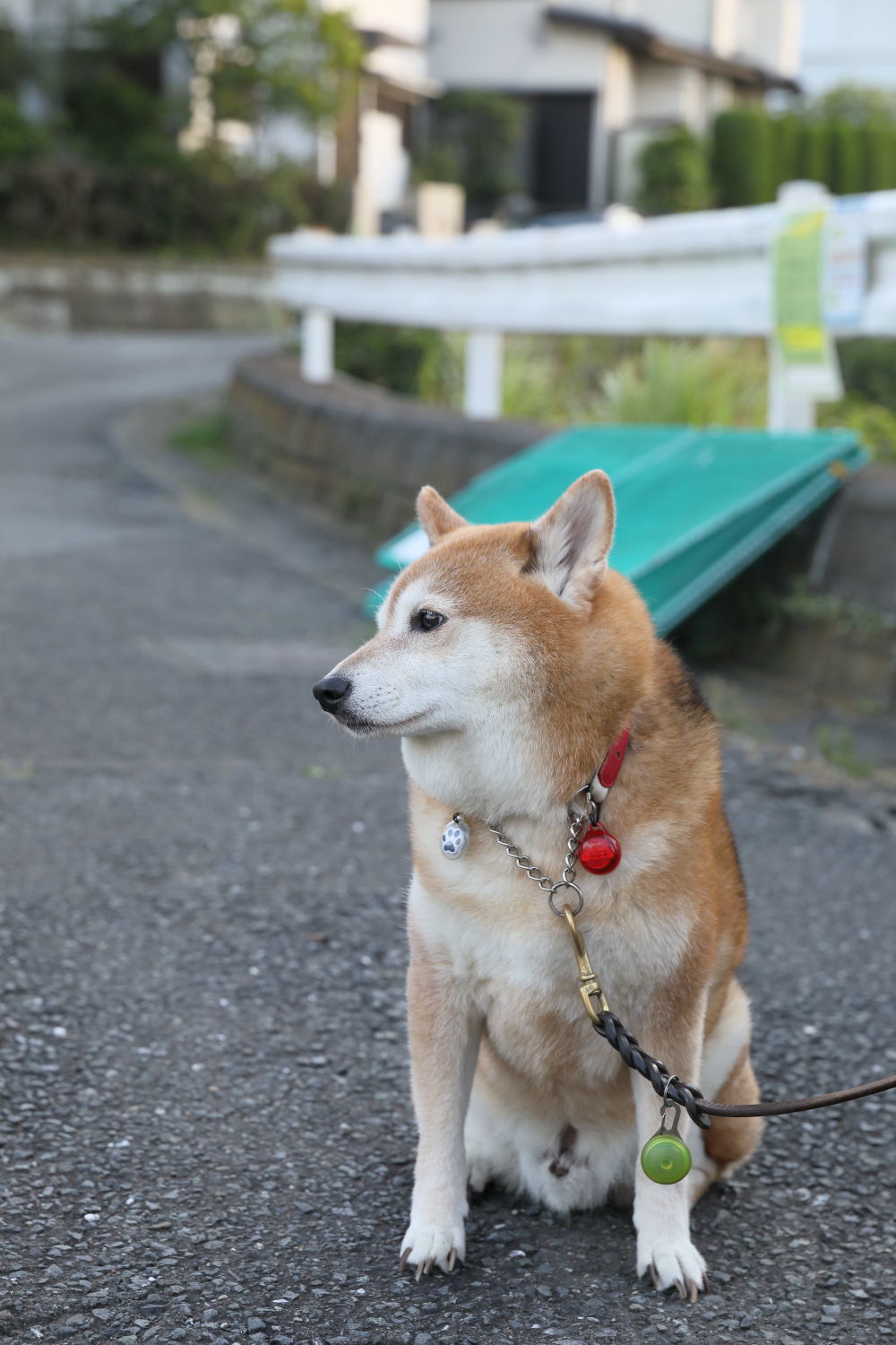 朝の鵠沼海岸♪_b0275998_13475379.jpg