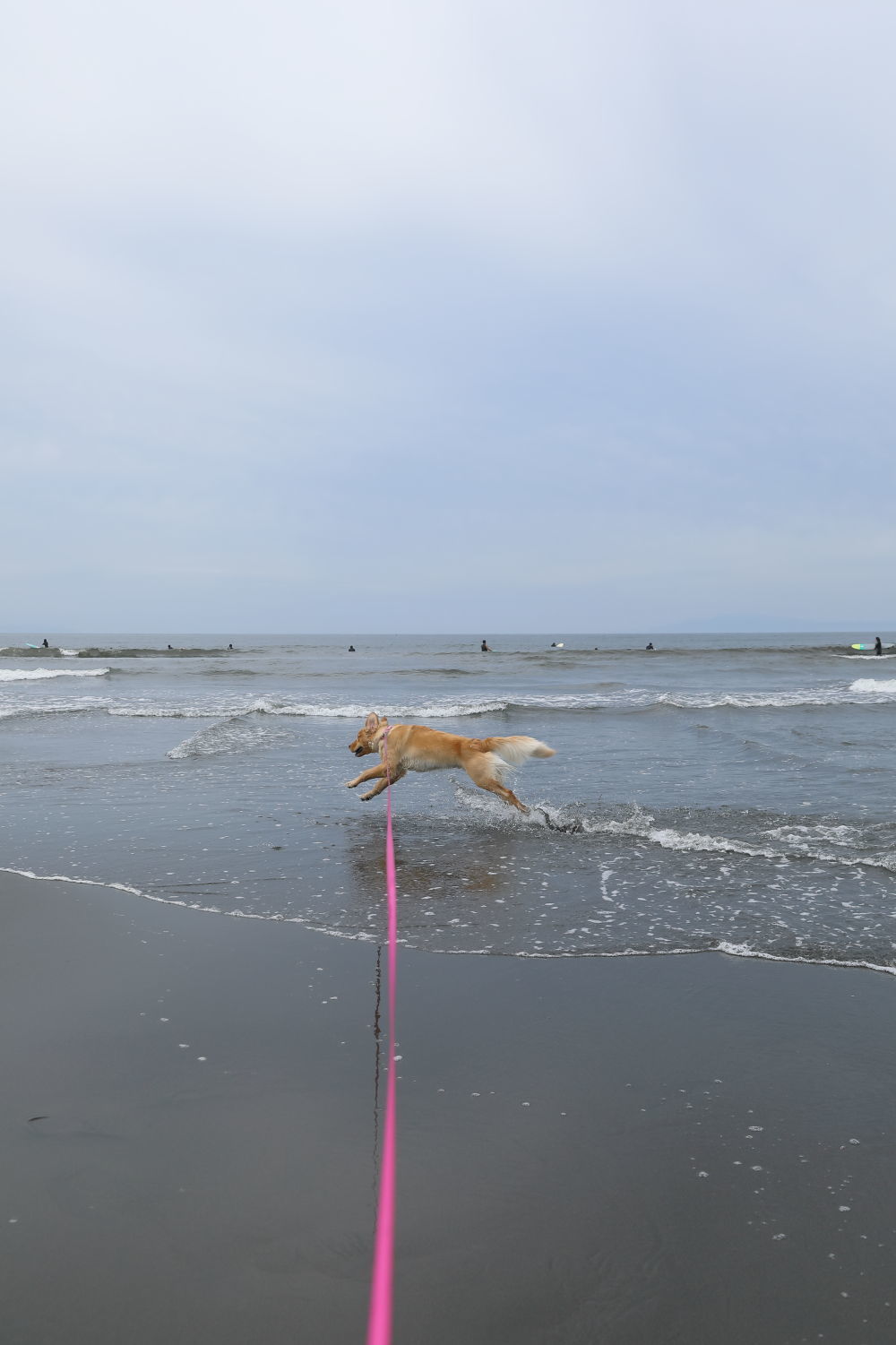 朝の鵠沼海岸♪_b0275998_13491411.jpg
