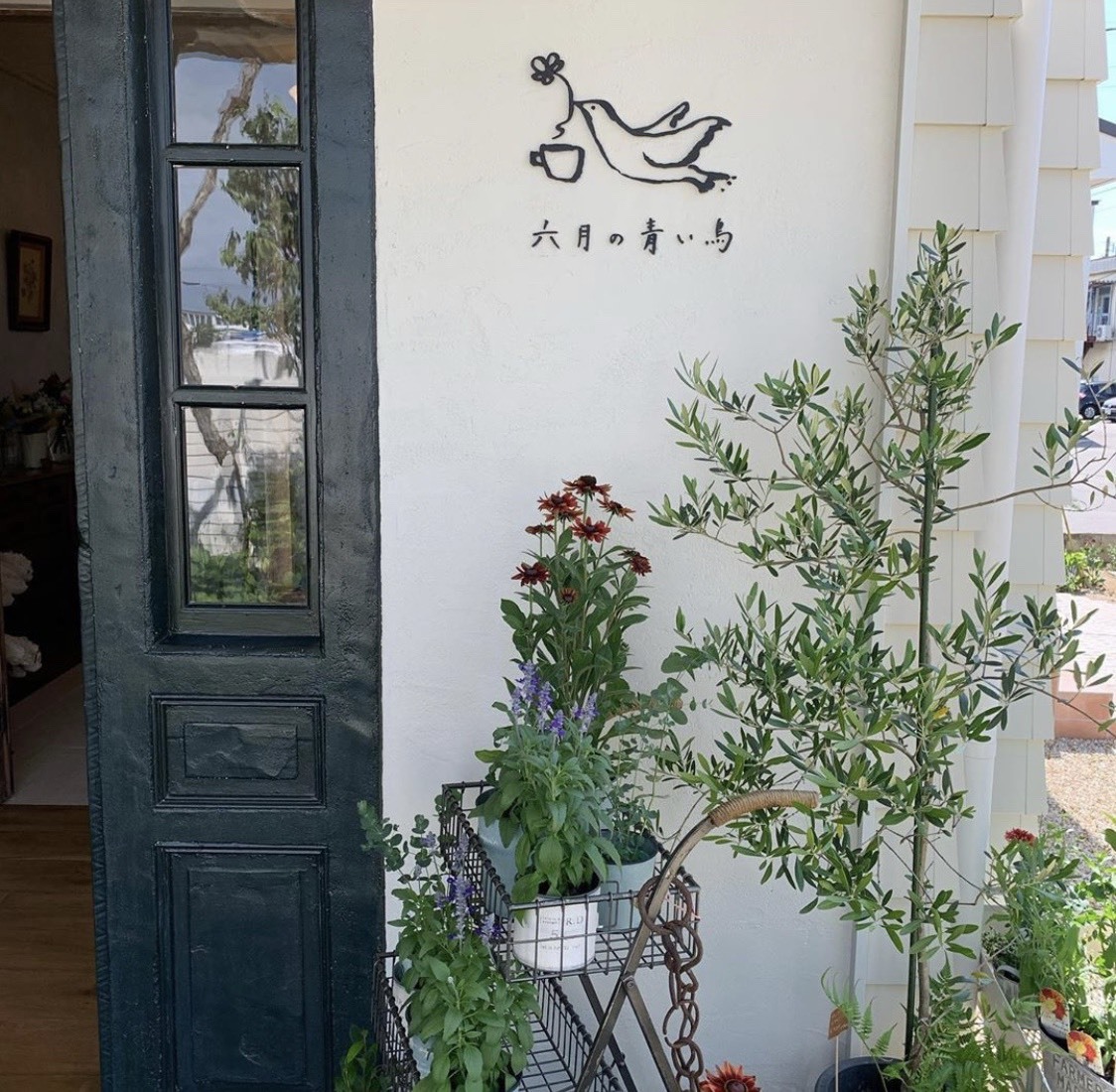 富山 六月の青い鳥 開店です Crouche 富山 六月の青い鳥 開店です Crouche