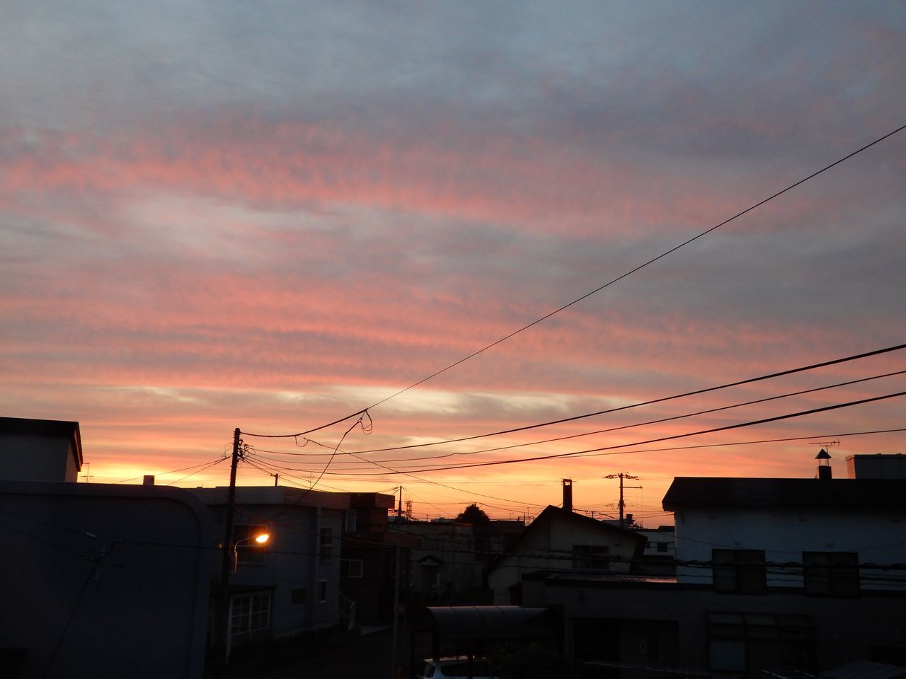 昨日よりちょと涼しく風が吹く土曜日_c0025115_22033148.jpg